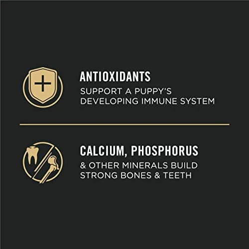 Purina Pro Plan High Protein Dry Puppy Food, Chicken And Rice Formula - 18 Lb. Bag 3 Purina Pro Plan High Protein Dry Puppy Food, Chicken And Rice Formula - 18 Lb. Bag - Image 3