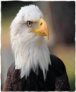 AOYEGO Colorful Macaroon Soft Throw Blanket Cookies Cream Dessert Sweet Food Bakery 30x40 Inch Blanket Flannel Warm Travel Blankets For Pet Dog Cat 19 AOYEGO Colorful Macaroon Soft Throw Blanket Cookies Cream Dessert Sweet Food Bakery 30x40 Inch Blanket Flannel Warm Travel Blankets For Pet Dog Cat -Zoomie Shop 41gIkZcmoeL. AC