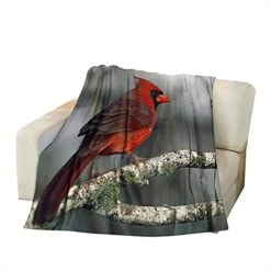 AOYEGO Bird Soft Throw Blanket Sweet Food Desert Birthday Chocolate Cherry 30x40 Inch Blanket Flannel Warm Travel Blankets For Pet Dog Cat