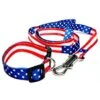 BUNFIREs American US Flag Dogs Collar And Leash Set Patriotic, Fourth Of July Dog Collar, Independence Day Heavy Duty Adjustable For Small Medium Large Breeds Dog
