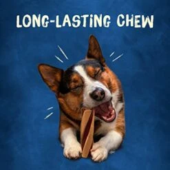 Purina Busy With Beggin' Made In USA Facilities Small/Medium Breed Dog Treats, Twist'd - 10 Ct. Pouch 7 Purina Busy With Beggin' Made In USA Facilities Small/Medium Breed Dog Treats, Twist'd - 10 Ct. Pouch -Zoomie Shop 41h2aFPawKL