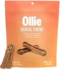 Ollie Dental Chews For Dogs Large- Dog Breath Treats - Dog Teeth Cleaning Treat - Dental Sticks For Dogs - Fresh Breath For Dogs - Dog Dental Chews - Dog Dental Care - 12 Oz. -Zoomie Shop 41hOqZNtkeL. AC