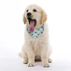 GENERIC Funny Cartoon Pugs Puppies Pet Bandana Collar - Scarf Collar - Art Dog Bandana Minimal Head Cicumference 10 GENERIC Funny Cartoon Pugs Puppies Pet Bandana Collar - Scarf Collar - Art Dog Bandana Minimal Head Cicumference -Zoomie Shop 41hdBTwW9kL