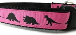 Dinosaur Dog Collar, Caninedesign, Green, T-Rex, Stegosaurus, Triceratops, 1 Inch Wide, Adjustable, Nylon, Medium And Large (Large 15-22") -Zoomie Shop 41i8pn1riiL. AC 1