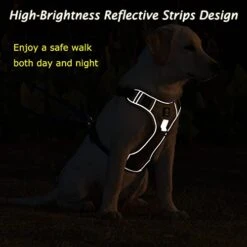 FEimaX Dog Harness No Pull Reflective Pet Vest Harness For Large Dogs Adjustable Breathable No Choke Dog Harnesses With 2 Leash Attachments Control Handle For Walking -Zoomie Shop 41iNWorIlEL