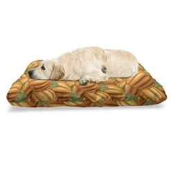 Ambesonne Harvest Pet Bed, Pumpkins In A Vibrant Colored Pattern Natural Ingredients Vegetarian Organic Food, Chew Resistant Pad For Dogs And Cats Cushion With Removable Cover, 24" X 39", Orange Green