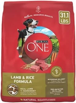 Purina ONE Dry Dog Food Lamb And Rice Formula - 16.5 Lb. Bag 16 Purina ONE Dry Dog Food Lamb And Rice Formula - 16.5 Lb. Bag -Zoomie Shop 41kN4rGGnEL. AC