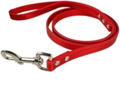 Kuntrona PU Leather Dog Pet Leash Dog Lead 9 Colors 48" Long Red M -Zoomie Shop 41kjkjPuFVL. AC