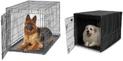 MidWest Homes For Pets XL Dog Crate | MidWest Life Stages Folding Metal Dog Crate | Divider Panel, Floor Protecting Feet, Leak-Proof Dog Pan | 48L X 30W X 33H Inches, XL Dog Breed -Zoomie Shop 41kxYKUwo2L. AC