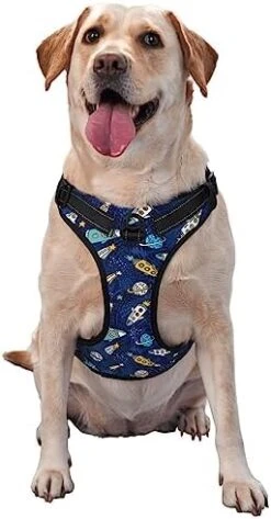 Cartoon Vegetable Food No Pull Dog Harness For Large Dogs No Pull Dog Leash, Adjustable Large Dog Harness Reflective Dog Vest Harness, Easy Walk Dog Harness For Medium Dogs No Pull Pet Harness -Zoomie Shop 41lfwtczHkL. AC 1