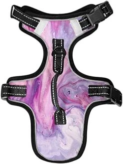 Poeticcity Mushrooms Natural Fungus Mushrooming Organic Food On Brown No Pull Vest Harness, Padded Reflective Adjustable Harnesses For Small To Large Dogs Cats With Leash Clips Easy Control Handle S 28 Poeticcity Mushrooms Natural Fungus Mushrooming Organic Food On Brown No Pull Vest Harness, Padded Reflective Adjustable Harnesses For Small To Large Dogs Cats With Leash Clips Easy Control Handle S -Zoomie Shop 41lvj4UiiiL. AC