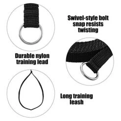 30 Pieces Slip Leads Dog Leash Pet Rope Strong Pulling Kennel Leads With O-Ring Durable For Dogs Walking Training (Neon Green, Orange, Yellow, Blue, Red, Black) -Zoomie Shop 41ly9OyDd8L