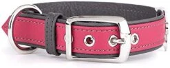 MyFamily Adjustable Dog Collar In Genuine Italian Made Leather, White Bronze Metallic Finish, Comfortable And Durable, Handmade, Florence Collection -Zoomie Shop 41mFSh8f44L. AC