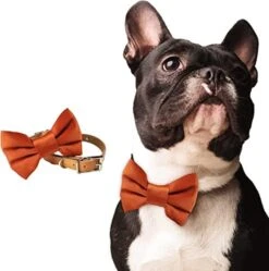 Burnt Orange Dog Bowtie Collar, Dog Wedding Collar, Terracotta Wedding Dog Collar, Formal Dog Collar, Wedding Apparel For Dogs, Dog Collars, Formal Dog Collars (Large: 13.5-16.5" Neck) 20 Burnt Orange Dog Bowtie Collar, Dog Wedding Collar, Terracotta Wedding Dog Collar, Formal Dog Collar, Wedding Apparel For Dogs, Dog Collars, Formal Dog Collars (Large: 13.5-16.5" Neck) -Zoomie Shop 41mTbqW7DiL. AC 1