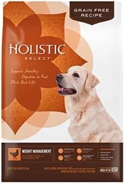Holistic Select Natural Grain Free Dry Dog Food, Weight Management Chicken Meal & Peas Recipe, 24-Pound Bag -Zoomie Shop 41mqdublIxL. AC