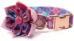 Dog Collar With Bow, Hotdog Dog Bowtie, Bowtie Dog Collar Adjustable Dog Collars For Small Medium Large Dogs And Cats 22 Dog Collar With Bow, Hotdog Dog Bowtie, Bowtie Dog Collar Adjustable Dog Collars For Small Medium Large Dogs And Cats -Zoomie Shop 41nL7mYQWUL. AC