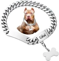 Girl Boy Cute Gold Chain Metal Dog Collar, Steel Heavy Duty Strong Dog Necklace With Magnet Buckle -Zoomie Shop 41nR2sCYznL. AC