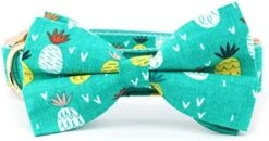 Dog Collar With Bow, Hotdog Dog Bowtie, Bowtie Dog Collar Adjustable Dog Collars For Small Medium Large Dogs And Cats 24 Dog Collar With Bow, Hotdog Dog Bowtie, Bowtie Dog Collar Adjustable Dog Collars For Small Medium Large Dogs And Cats -Zoomie Shop 41nmKZYXS1L. AC