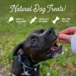 Beg & Barker Chicken Jerky For Dogs (10 Oz, Pack Of 1) - Dog Training Treats - Natural Dog Treats Made In The USA - Grain Free, Diabetic-Friendly, High Protein, Sugar-Free (Chicken Dog Jerky) 8 Beg & Barker Chicken Jerky For Dogs (10 Oz, Pack Of 1) - Dog Training Treats - Natural Dog Treats Made In The USA - Grain Free, Diabetic-Friendly, High Protein, Sugar-Free (Chicken Dog Jerky) -Zoomie Shop 41o1YpBnAhL