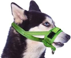 SlowTon Soft Dog Muzzle, Adjustable Padded Nylon Muzzle For Large Medium Dogs Anti Chewing Barking Biting, Allow Dog Pant & Drink (Black, L) -Zoomie Shop 41qYzkWXhdL. AC