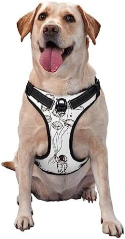Food Illustration No Pull Dog Harness Adjustable Puppy Harness Reflective Dog Vest Harness Wear-Resistant Oxford Cloth Dog Harness With Leash For Small Medium Large Dogs -Zoomie Shop 41qb8c5bbCL. AC