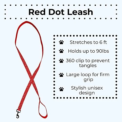 Steel Mill & Co Cute 6ft Long Dog Leash, Heavy Duty Canvas, 6 Foot Lead For Small And Medium Dogs, Paws And Dots (Red) 3 Steel Mill & Co Cute 6ft Long Dog Leash, Heavy Duty Canvas, 6 Foot Lead For Small And Medium Dogs, Paws And Dots (Red) - Image 3
