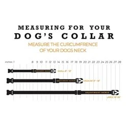 Wolfgang Premium Adjustable Dog Training Collar, Made In USA, Quetzal Print, Large (1 Inch X 18-26 Inch) -Zoomie Shop 41qpOQ75o6L