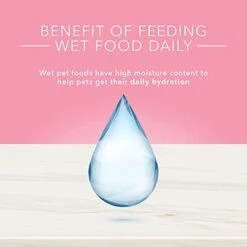 Blue Buffalo True Solutions Blissful Belly Natural Digestive Care Adult Wet Dog Food, Chicken 12.5-oz Cans (Pack Of 12) -Zoomie Shop 41r0KofHf0L