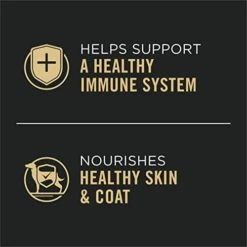 Purina Pro Plan Gravy Wet Dog Food For Large Dogs, Large Breed Beef And Rice Entree - (12) 13 Oz. Cans -Zoomie Shop 41r7COLbyJL