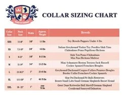 Burnt Orange Dog Bowtie Collar, Dog Wedding Collar, Terracotta Wedding Dog Collar, Formal Dog Collar, Wedding Apparel For Dogs, Dog Collars, Formal Dog Collars (Large: 13.5-16.5" Neck) 18 Burnt Orange Dog Bowtie Collar, Dog Wedding Collar, Terracotta Wedding Dog Collar, Formal Dog Collar, Wedding Apparel For Dogs, Dog Collars, Formal Dog Collars (Large: 13.5-16.5" Neck) -Zoomie Shop 41rgbC7BwSL