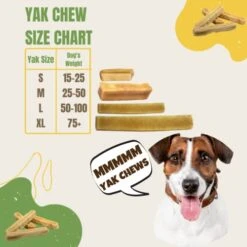 EcoKind Pet Treats Premium Gold Himalayan Yak Cheese Dog Chew, Gluten Free, Lactose Free, All Natural Chews For Small To Large Dogs | Keeps Dogs Busy & Enjoying, Indoors & Outdoor Use, 1 Lb. Bag -Zoomie Shop 41rzwfo64BL