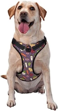 Cartoon Vegetable Food No Pull Dog Harness For Large Dogs No Pull Dog Leash, Adjustable Large Dog Harness Reflective Dog Vest Harness, Easy Walk Dog Harness For Medium Dogs No Pull Pet Harness -Zoomie Shop 41sDIV4kgfL. AC 1