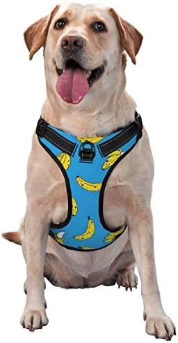 Dog Harness No Pull Walking Pet Harness With Leash, Bagel Food Funny Pattern Adjustable Reflective Oxford Vest With Easy Control Front Clip For Pet Dogs Outdoor 11 Dog Harness No Pull Walking Pet Harness With Leash, Bagel Food Funny Pattern Adjustable Reflective Oxford Vest With Easy Control Front Clip For Pet Dogs Outdoor - Image 11
