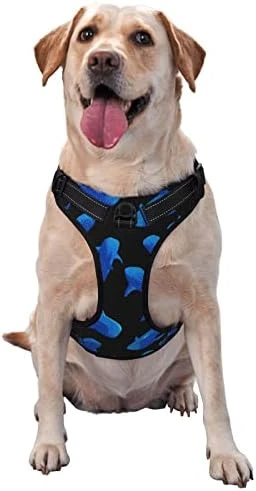 Dog Harness Leash Set Durable Oxford Breathable Reflective Puppy Harness Vest Spaghetti Italian Food For Walking Training Running, No Pull No Choke Pet Dog Harness 14 Dog Harness Leash Set Durable Oxford Breathable Reflective Puppy Harness Vest Spaghetti Italian Food For Walking Training Running, No Pull No Choke Pet Dog Harness - Image 14