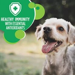 IAMS Small & Toy Breed Adult Dry Dog Food For Small Dogs With Real Chicken, 7 Lb. Bag -Zoomie Shop 41tVFGmw6kL 1