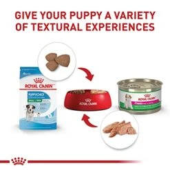 Royal Canin Size Health Nutrition Small Puppy Dry Dog Food, 2.5 Lb Bag -Zoomie Shop 41tYP3esFCL
