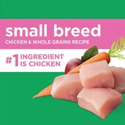 IAMS Small & Toy Breed Adult Dry Dog Food For Small Dogs With Real Chicken, 15 Lb. Bag 9 IAMS Small & Toy Breed Adult Dry Dog Food For Small Dogs With Real Chicken, 15 Lb. Bag -Zoomie Shop 41uIcj1JnqL