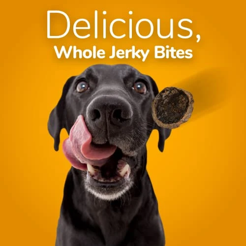 Fruitables Dog Treats – Whole Jerky Bites – Grilled Bison Dog Treats – Healthy Dog Treats – 5 Ounces 2 Fruitables Dog Treats – Whole Jerky Bites – Grilled Bison Dog Treats – Healthy Dog Treats – 5 Ounces - Image 2