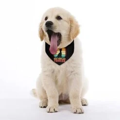 GENERIC I-Love-My-west-Highland-Terrier Pet Bandana Collar - Scarf Collar - Art Dog Bandana Minimal Head Cicumference -Zoomie Shop 41urAAX5iyL
