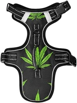 Poeticcity Mushrooms Natural Fungus Mushrooming Organic Food On Brown No Pull Vest Harness, Padded Reflective Adjustable Harnesses For Small To Large Dogs Cats With Leash Clips Easy Control Handle S 24 Poeticcity Mushrooms Natural Fungus Mushrooming Organic Food On Brown No Pull Vest Harness, Padded Reflective Adjustable Harnesses For Small To Large Dogs Cats With Leash Clips Easy Control Handle S -Zoomie Shop 41uyZIWLI2L. AC