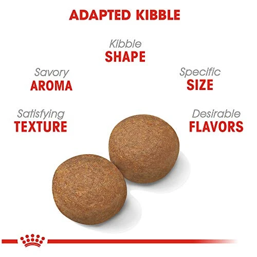 Royal Canin Large Breed Adult Dry Dog Food, 6 Lb Bag 2 Royal Canin Large Breed Adult Dry Dog Food, 6 Lb Bag - Image 2