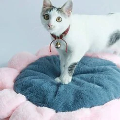 SONGBIRDTH Puppy Cat Round Flower Shape Cushion Plush Floor Mat Dog Carpet Pad Pet Supplies,Breathable Cotton Blend,Removable Easy To Clean Pink M 14 SONGBIRDTH Puppy Cat Round Flower Shape Cushion Plush Floor Mat Dog Carpet Pad Pet Supplies,Breathable Cotton Blend,Removable Easy To Clean Pink M -Zoomie Shop 41vAn8fWHxL