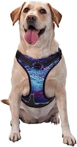 Cartoon Vegetable Food No Pull Dog Harness For Large Dogs No Pull Dog Leash, Adjustable Large Dog Harness Reflective Dog Vest Harness, Easy Walk Dog Harness For Medium Dogs No Pull Pet Harness -Zoomie Shop 41vuNHqgltL. AC