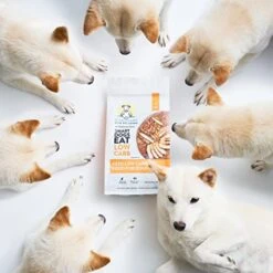 Visionary Pet Foods - Premium Quality Dry Dog Food, Low Carb And Grain Free | High Protein, With Non GMO And Limited Ingredients | Natural Chicken Flavored Kibble, 3.5 Lb Resealable Small Bag -Zoomie Shop 41w0gDtefTL