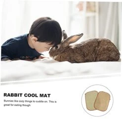 Mipcase 6 Pcs Rabbit Mat Chinchilla Chew Toys Kitten Toys Chinchilla Bedding Dog Cooling Mat Cooling Rabbit Grass Mat Rabbit Cooling Pad Cooling Grass Mat Manual Bed Linings Hamster Pad -Zoomie Shop 41xECkexRoL