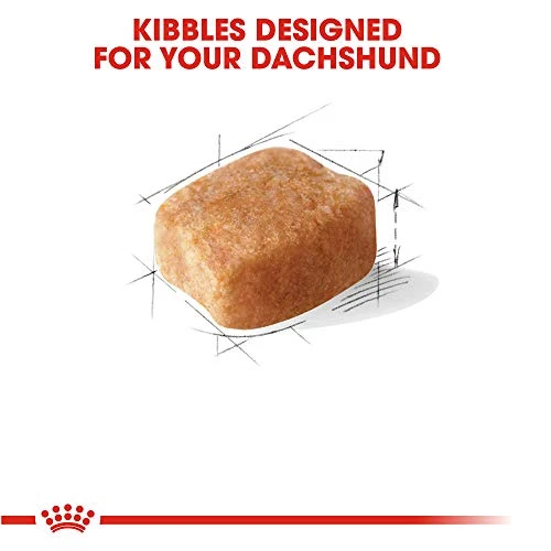 Royal Canin Dachshund Adult Breed Specific Dry Dog Food, 2.5 Lb Bag 2 Royal Canin Dachshund Adult Breed Specific Dry Dog Food, 2.5 Lb Bag - Image 2