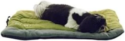 Helios Combat-Terrain Outdoor Cordura-Nyco Travel Folding Dog Bed, X-Large, Olive Green, Grey 28 Helios Combat-Terrain Outdoor Cordura-Nyco Travel Folding Dog Bed, X-Large, Olive Green, Grey -Zoomie Shop 41xjHqNIXaL. AC 1