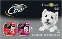 CESAR Small Breed Dry Dog Food Filet Mignon Flavor With Spring Vegetables Garnish Dog Kibble, 12 Lb. Bag -Zoomie Shop 41ywvdQQ4S. AC