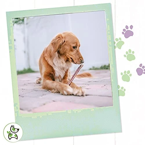 Nature Gnaws Bully Sticks For Dogs - Premium Natural Beef Dental Bones - Long Lasting Dog Chew Treats For Aggressive Chewers - Rawhide Free - Mixed Thickness 8 Ounce (Pack Of 1) 4 Nature Gnaws Bully Sticks For Dogs - Premium Natural Beef Dental Bones - Long Lasting Dog Chew Treats For Aggressive Chewers - Rawhide Free - Mixed Thickness 8 Ounce (Pack Of 1) - Image 4