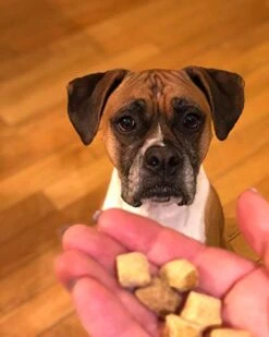 Remy’s Kitchen Freeze Dried Superfood Snacks For Dogs Pumpkin+Kale All Natural Dog Treat